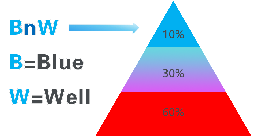 BnW 企业理念金字塔